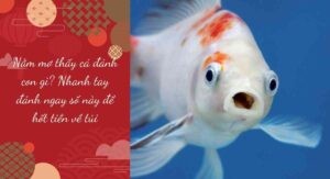 nam-mo-thay-ca-tren-bo