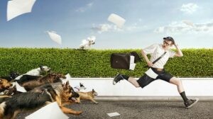 nam-mo-thay-cho-can-la-diem-gi