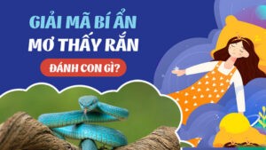 mơ thấy gặp rắn điềm lành hay dữ