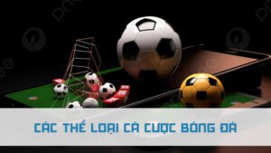 các thể loại cá cược bóng đá 2024