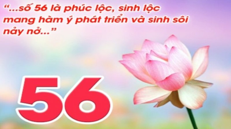 Đề về 56 đánh con gì hôm sau may mắn?