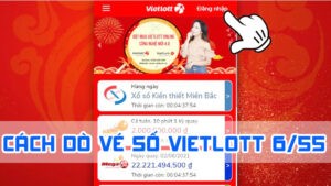cách dò vé số vietlott 6/55 2024