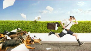 Điềm báo nằm mơ thấy chó cắn vào chân đánh số gì