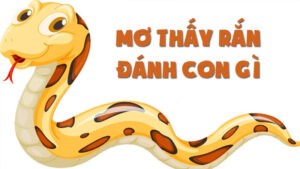 thông điệp nằm mơ thấy rắn hổ mang đánh đề con gì
