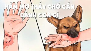 tìm ý nghĩa lô đề nằm mơ thấy chó cắn vào tay đánh số gì